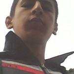 Daler