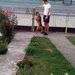 zoran
